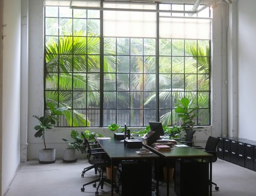 Staying Cool in the Summer Workplace!