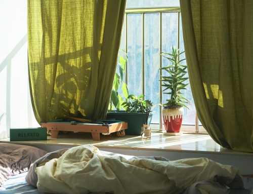 Summer Olive Hues