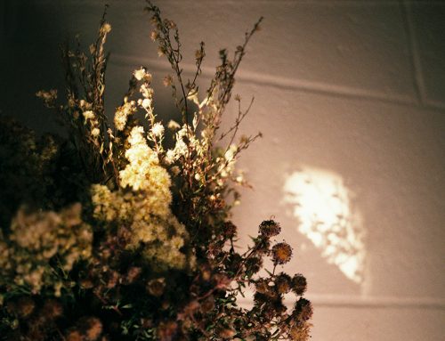 Halloween: Dark Botanicals