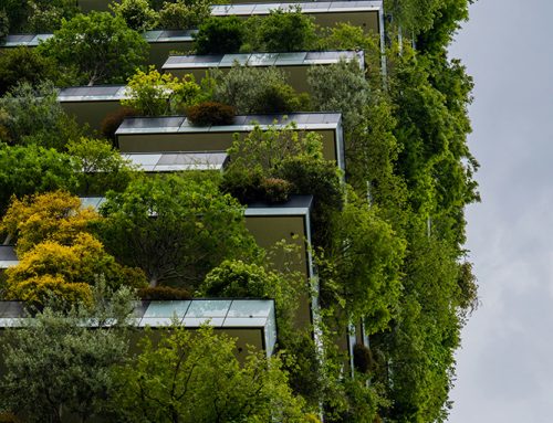 Green Skills in the Interior Design & Architecture World