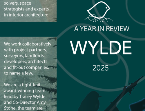 A Year In Review 2025